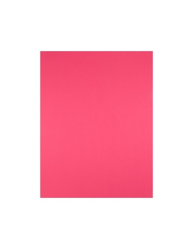 CARTULINA LIDERPAPEL 50X65 CM 240G/M2 FUCSIA PAQUETE 25 UNIDADES
