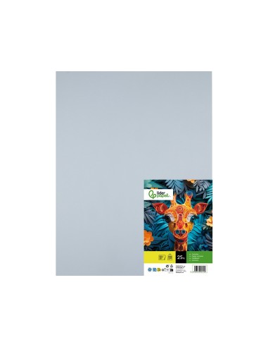 CARTULINA LIDERPAPEL 50X65 CM 240G/M2 GRIS PAQUETE 25 UNIDADES