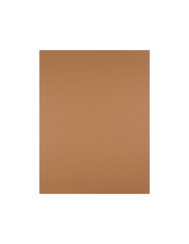 CARTULINA LIDERPAPEL 50X65 CM 240G MARRON ESCOLAR PAQUETE 25 UNIDADES