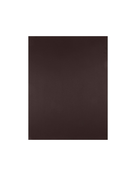 CARTULINA LIDERPAPEL 50X65 CM 240G/M2 MARRON PAQUETE 25 UNIDADES