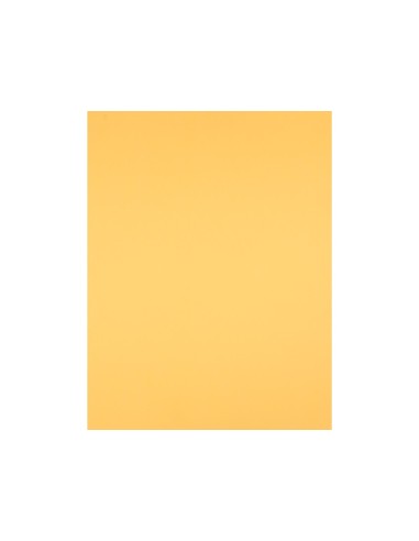 CARTULINA LIDERPAPEL 50X65 CM 240G/M2 ORO PAQUETE 25 UNIDADES