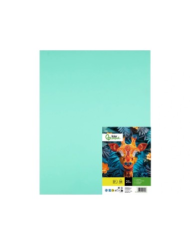 CARTULINA LIDERPAPEL 50X65 CM 240G/M2 VE.HIERBA PAQUETE 25 UNIDADES