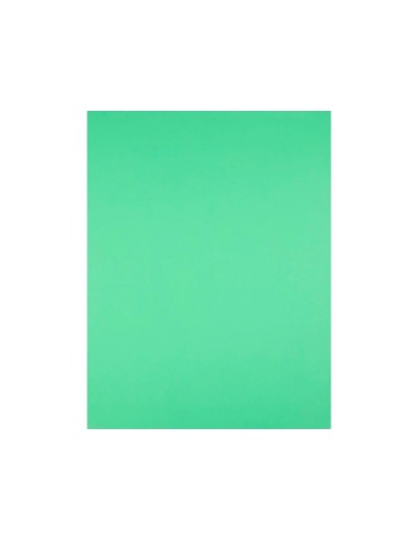 CARTULINA LIDERPAPEL 50X65 CM 240G/M2 VE.NAVIDAD PAQUETE 25 UNIDADES