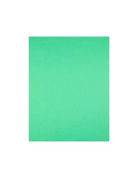 CARTULINA LIDERPAPEL 50X65 CM 240G/M2 VE.NAVIDAD PAQUETE 25 UNIDADES
