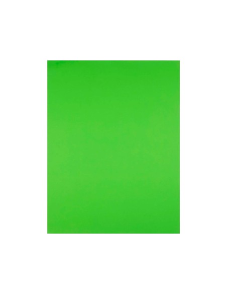 CARTULINA LIDERPAPEL 50X65 CM 240G/M2 VE.PISTACHO PAQUETE 25 UNIDADES