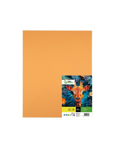 CARTULINA LIDERPAPEL 50X65 180 GR AVELLANA PAQUETE 25.