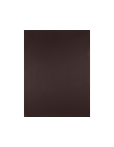 CARTULINA LIDERPAPEL 50X65 180 GR MARRON PAQUETE 25