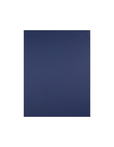 CARTULINA LIDERPAPEL 50X65 CM 180G/M2 AZUL ZAFIRO PAQUETE DE 25