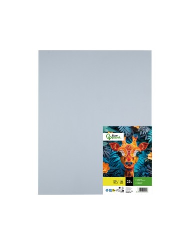 CARTULINA LIDERPAPEL 50X65 180 GR GRIS PAQUETE 25