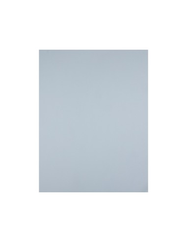 CARTULINA LIDERPAPEL 50X65 180 GR GRIS PAQUETE 25