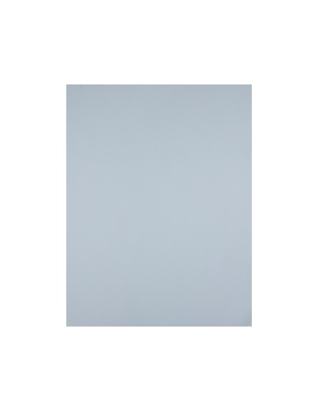 CARTULINA LIDERPAPEL 50X65 180 GR GRIS PAQUETE 25