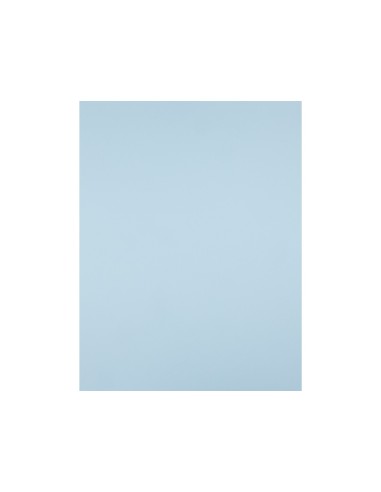 CARTULINA LIDERPAPEL 50X65 CM 180G/M2 CELESTE PAQUETE DE 25