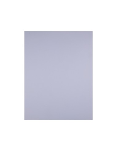 CARTULINA LIDERPAPEL 50X65 CM 180G/M2 LILA PAQUETE DE 25