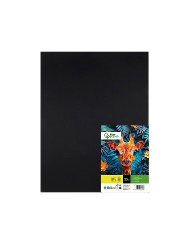 CARTULINA LIDERPAPEL 50X65 CM 180G/M2 NEGRO PAQUETE DE 25