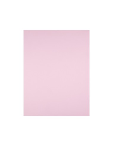CARTULINA LIDERPAPEL 50X65 CM 180G/M2 ROSA PAQUETE DE 25