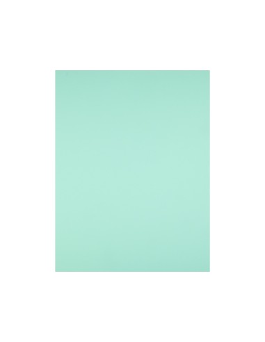 CARTULINA LIDERPAPEL 50X65 CM 180G/M2 VERDE PAQUETE DE 25