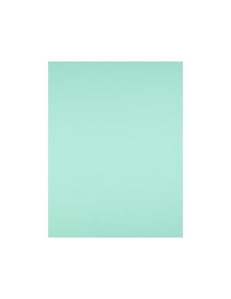 CARTULINA LIDERPAPEL 50X65 CM 180G/M2 VERDE PAQUETE DE 25