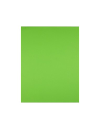 CARTULINA LIDERPAPEL 50X65 CM 180G/M2 VERDE HIERBA PAQUETE DE 25