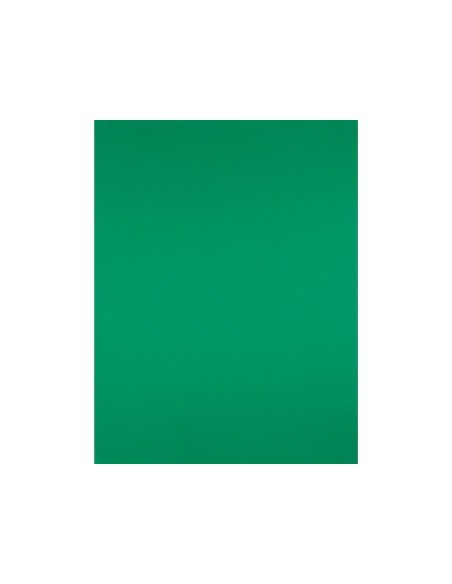 CARTULINA LIDERPAPEL 50X65 CM 180G/M2 VERDE NAVIDAD PAQUETE DE 25
