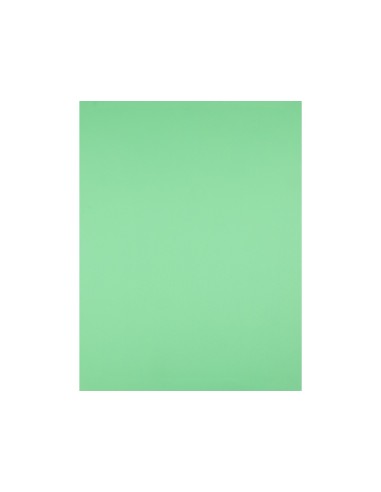 CARTULINA LIDERPAPEL 50X65 CM 180G/M2 VERDE PISTACHO PAQUETE DE 25