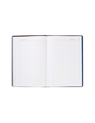 LIBRO MIQUELRIUS FL.100 H. CAJA ENTRADA Y SALIDA