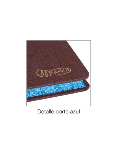 LIBRO MIQUELRIUS FL.100 H. CAJA ENTRADA Y SALIDA