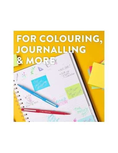 ROTULADOR PAPER MATE PUNTA NYLON 3101-1 NEGRO