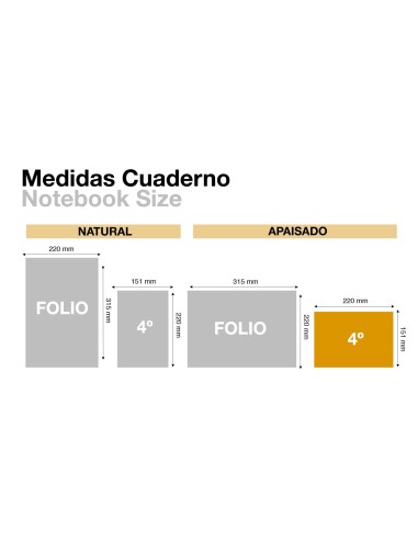 LIBRO MIQUELRIUS 4º APAISADO 100 H.CAJA ENTRADA Y SALIDA