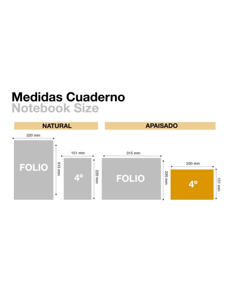 LIBRO MIQUELRIUS 4º APAISADO 100 H.CAJA ENTRADA Y SALIDA