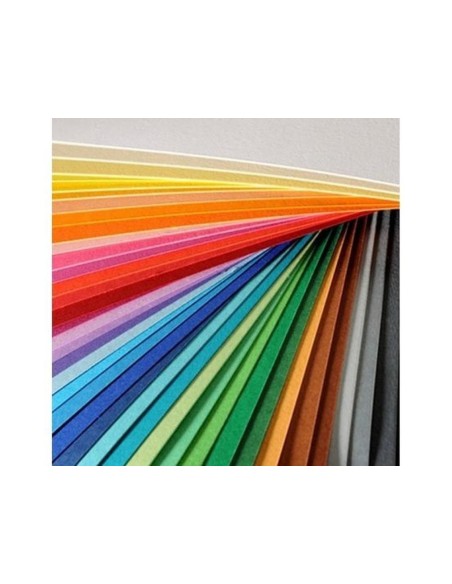 CARTULINA GUARRO DIN A4 LILA 185 GR PAQUETE 50 H 200040164