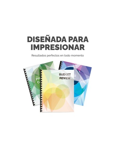 ENCUADERNADORA CANUTILLO FELLOWES STAR. PERFORA 12 HOJAS A4 150 HOJAS