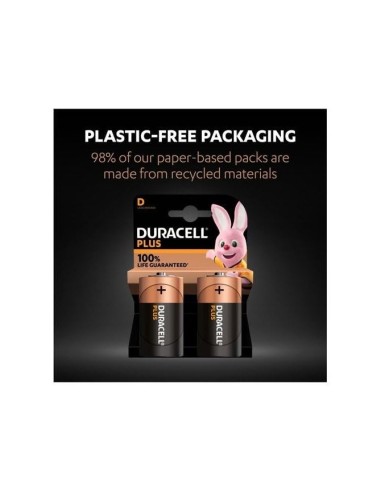 PILA DURACELL ALCALINA D BLISTER C/2 PILAS LR20**23401062