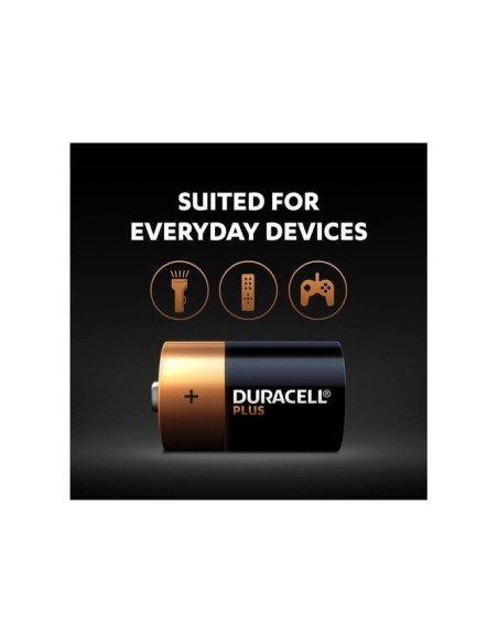 PILA DURACELL ALCALINA D BLISTER C/2 PILAS LR20**23401062