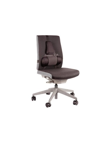 RESPALDO ERGONOMICO PROFESIONAL FELLOWES