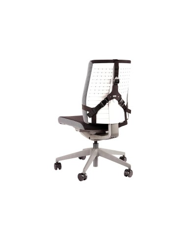 RESPALDO ERGONOMICO PROFESIONAL FELLOWES