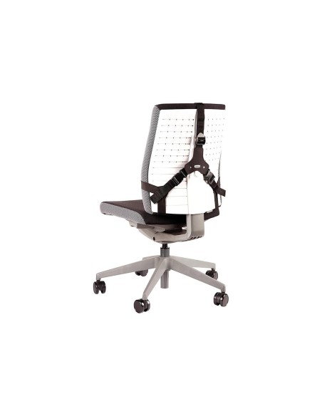 RESPALDO ERGONOMICO PROFESIONAL FELLOWES