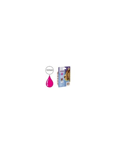 C13T07134012 CARTUCHO EPSON D78/DX4000 MAG. 250 PG.