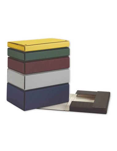 CARPETA PROYECTOS PARDO FOLIO LOMO 200 MM CARTON FORRADO AZUL BROCHE