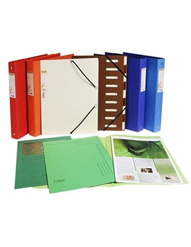 CARPETA DOSSIER UÑERO CARTULINA EXACOMPTA DIN A4 290 GR 5 UND COL.SUR