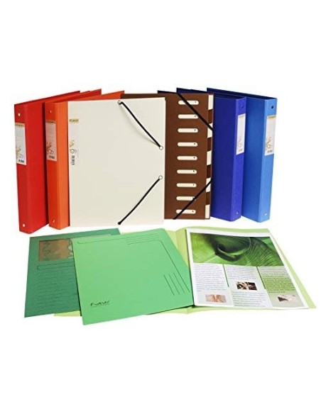 CARPETA DOSSIER UÑERO CARTULINA EXACOMPTA DIN A4 290 GR 5 UND COL.SUR