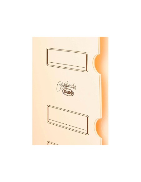 CARPETA CLASIF.CARTON COMPACTO SARO FL.VER 12 DEPARTAMENTOS
