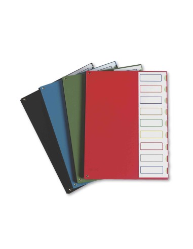 CARPETA CLASIF.TAPA PLASTICO PARDO FL.-9 DEPARTAMENTOS NG.