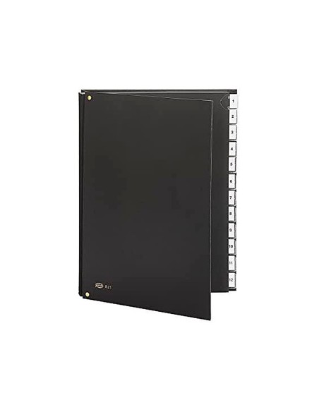 CARPETA CLASIF. FUELLE PARDO CARTON FL.12 DEP.VISOR DOBLE PERS.NG