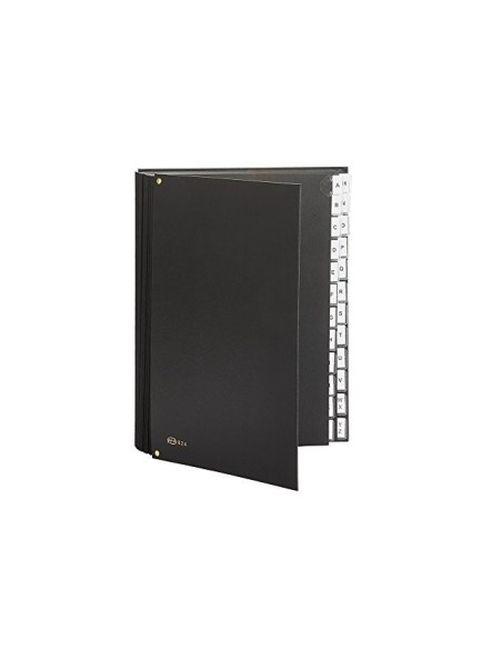 CARPETA CLASIF. FUELLE PARDO CARTON FL.24 DEP.VISOR DOBLE PERS.NG