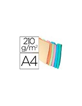 SUBCARPETA C/PESTAÑA LATERAL A4 AP. 210 GR. EXACOMPTA COL.SURT. 6 UD. 2