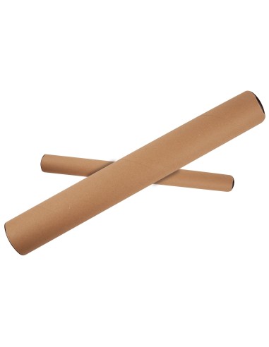 TUBO DE CARTON PORTADOCUMENTO TAPA PLASTICO 40X430X460 MM
