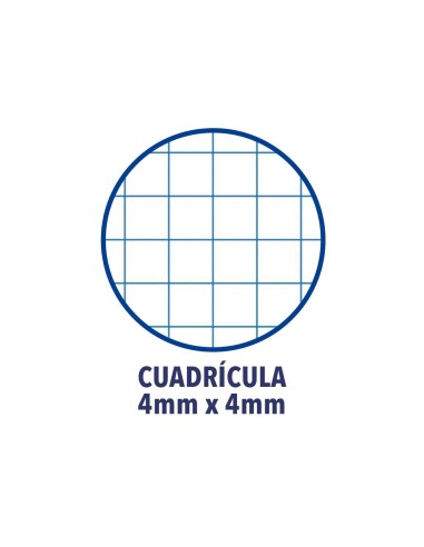CUADERNO ESP. OXFORD A5 T.CARTON 4MM 80H. 90GR. COL.SURT.