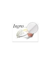 BLOC ENCOLADO INGRES DIBUJO 325X460MM 20H. 108GR. 2