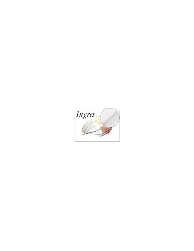 BLOC ENCOLADO INGRES DIBUJO 325X460MM 20H. 108GR.