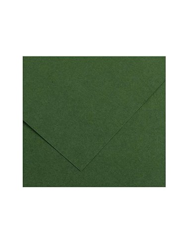 CARTULINA GUARRO VER AMAZONA-50X65 CM 185 GR